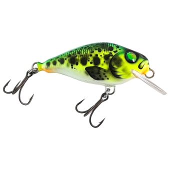 Hybrida Wobbler C4T Crankbait 5,5cm Hot Goby | Shallow Runner