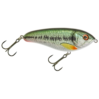 Illex lure Dexter 120 S sinking 12cm 60g Black Bass