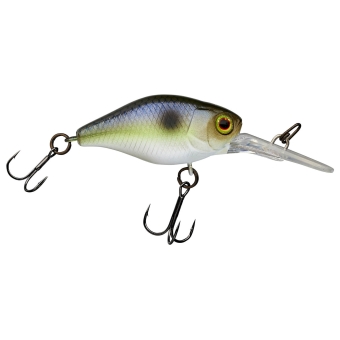 Illex Diving Chubby 38F Lure Crankbait 4.3g Pearl Sexy Shad