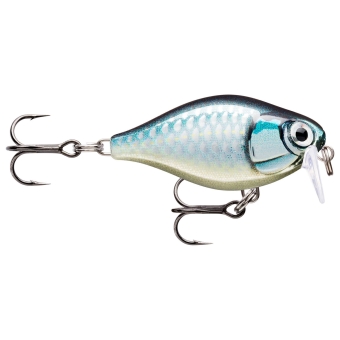 Rapala X-Light Crank Shallow Runner Fishing Plug Baby Aspius