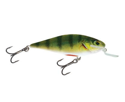 Salmo Executor Lure Shallow Runner RPH Real Perch 12cm