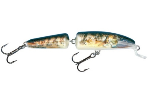 Salmo Fanatic Wobbler real gobio Gründling RG 7cm  