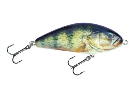 Salmo Fatso Wobbler Pullbait RPH real perch barsch  14cm schwimmend