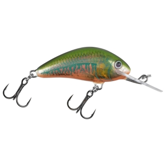 Salmo Hornet Crankbait 4cm sinking Holo Oikawa