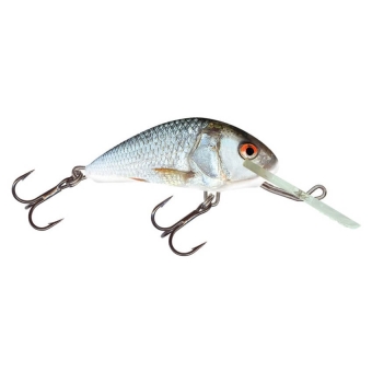 Salmo Hornet lure crankbait real dace RD 