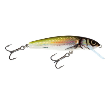 Salmo Minnow Lure Crankbait HBL Holo Bleak 6cm sinking