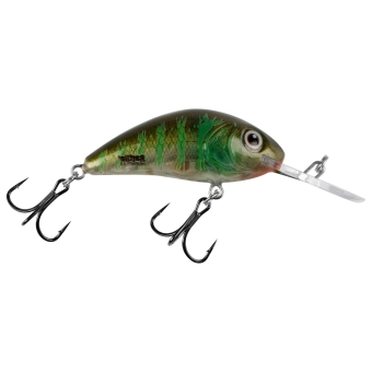 Salmo Rattlin Hornet Wobbler 3,5cm schwimmend Green Gill Clear