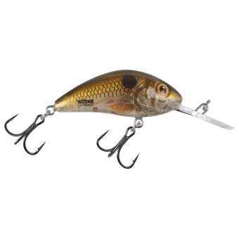 Salmo Rattlin Hornet Wobbler 3,5cm schwimmend Pearl Shad Clear