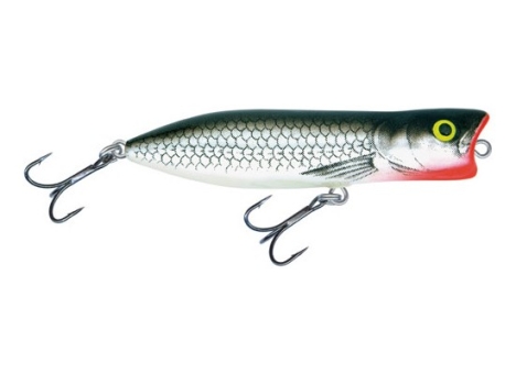 Salmo Rover Stickbait PBO 7cm 11g  